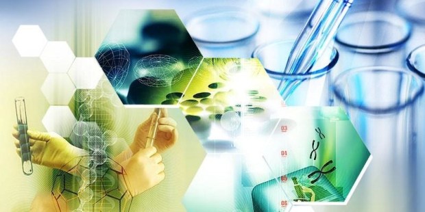 16426143_10158194128810261_3896154848072658345_n